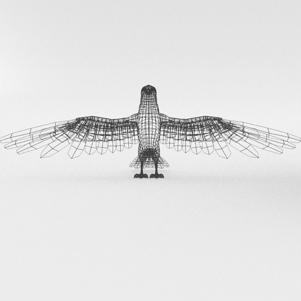 modelo 3d Halcón - TurboSquid 1316786