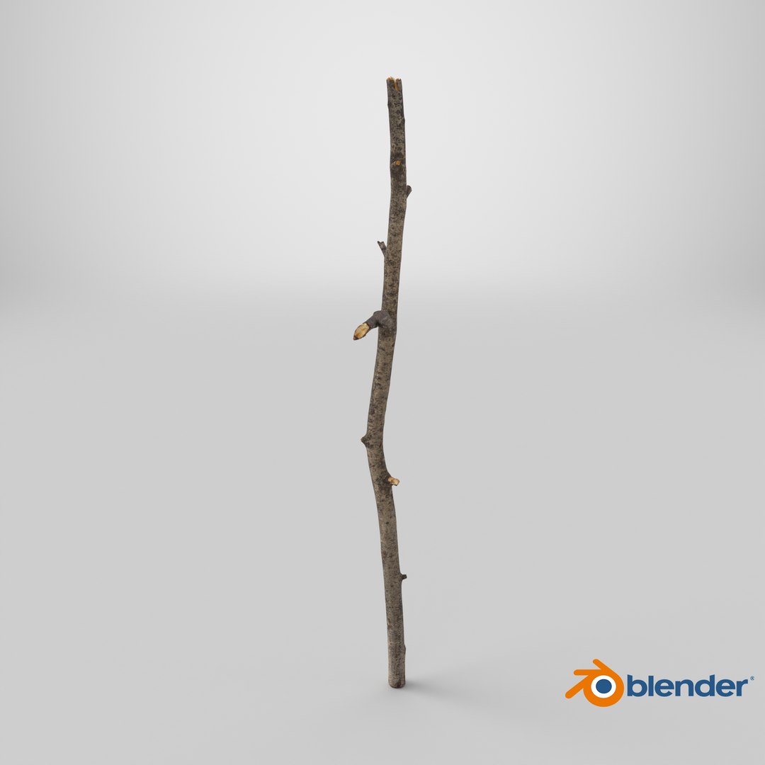 3D Scanned Sprig 03 StemCell - TurboSquid 2398839