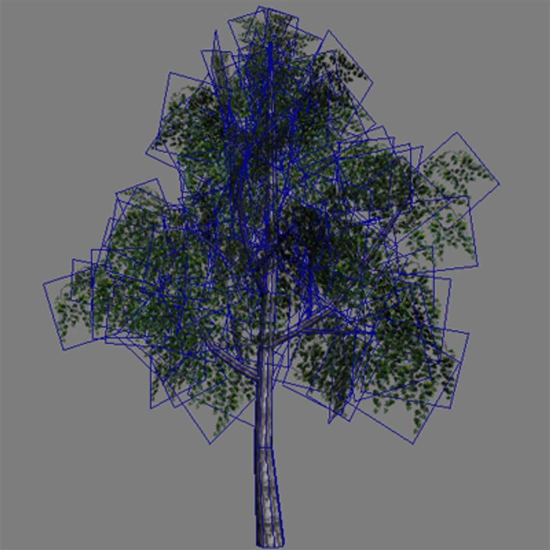 3d model pc tree https://p.turbosquid.com/ts-thumb/u1/hAly5P/AAL9uwrh/tree_025_wire/jpg/1235752695/1920x1080/fit_q87/a60e944d080fd1a49a027bdd8b536fe1806f2b18/tree_025_wire.jpg