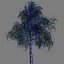 Tree_025