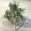 Tree_025