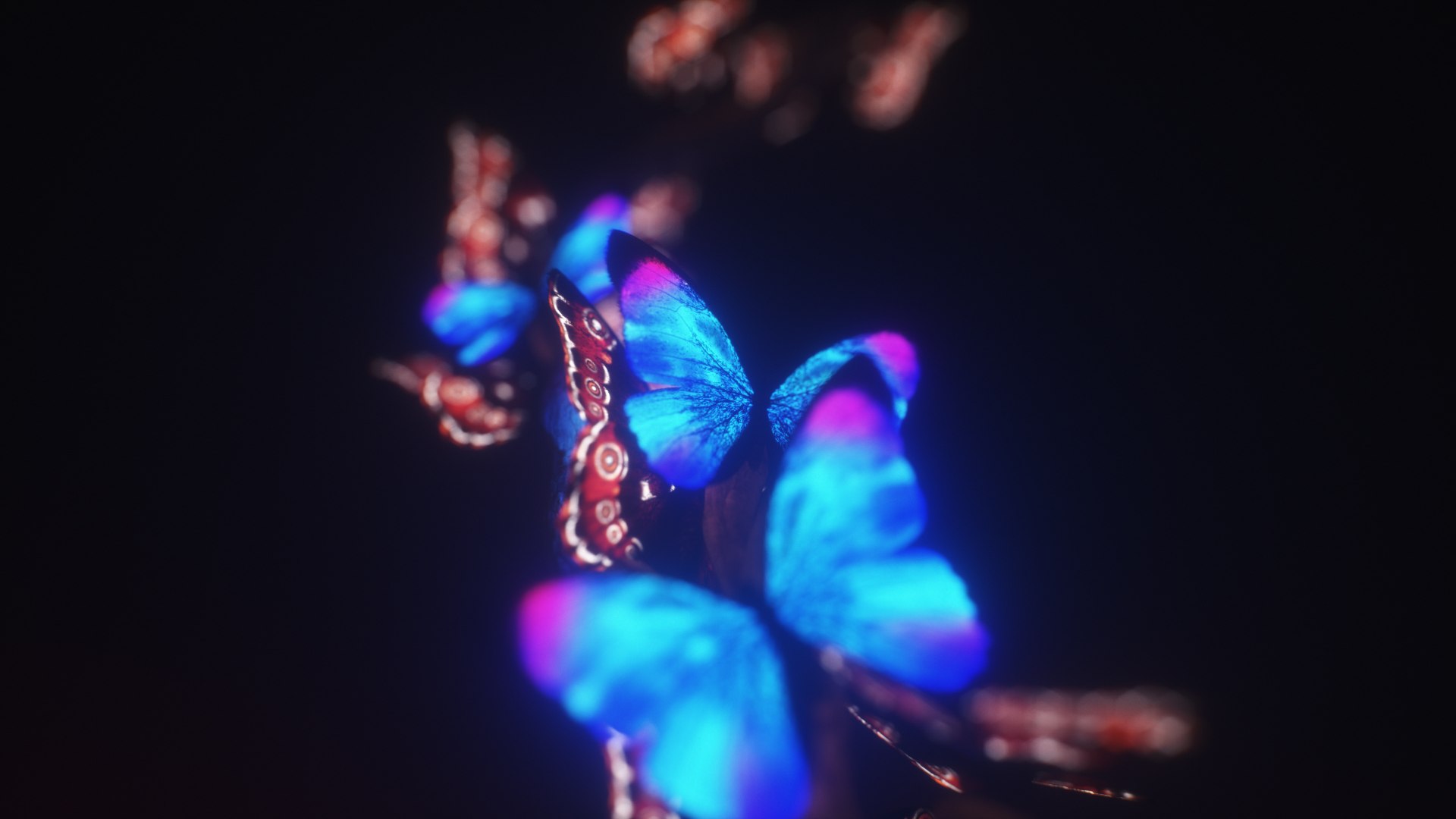 morpho butterfly blue 3D https://p.turbosquid.com/ts-thumb/u1/iULPaI/0j/34/jpg/1613777387/1920x1080/fit_q87/450b7c73cac04749f04ca276657b7b3e302c189e/34.jpg