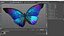 Blue Morpho Butterfly