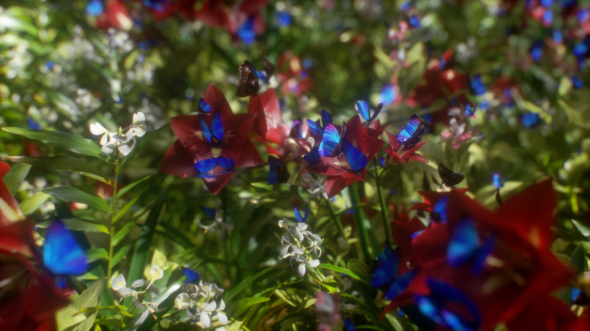 morpho butterfly blue 3D https://p.turbosquid.com/ts-thumb/u1/iULPaI/4B/26/jpg/1613777315/1920x1080/fit_q87/086a08346c4acd417ccde9a9a112e77b3422928f/26.jpg