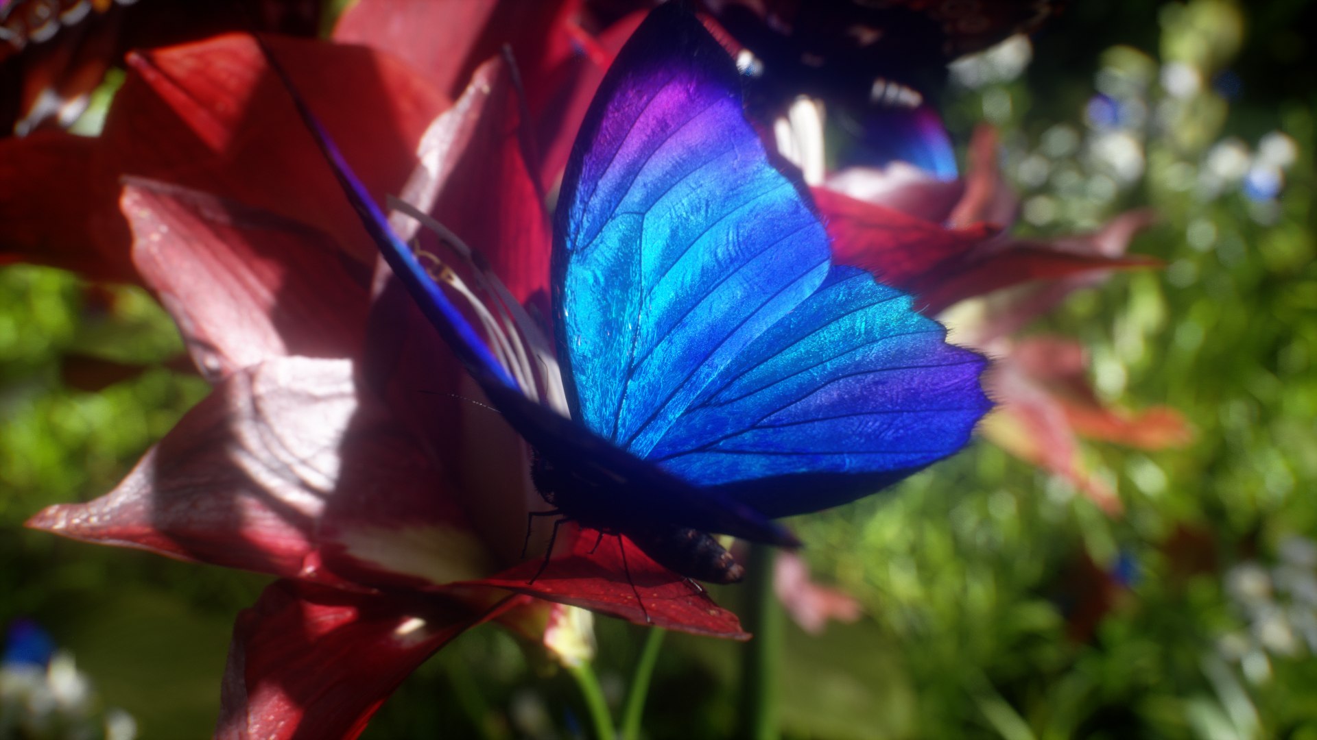 morpho butterfly blue 3D https://p.turbosquid.com/ts-thumb/u1/iULPaI/7T/6/jpg/1613777240/1920x1080/fit_q87/0fc139b605bf2696a10c8e1fb69dde1521258af7/6.jpg