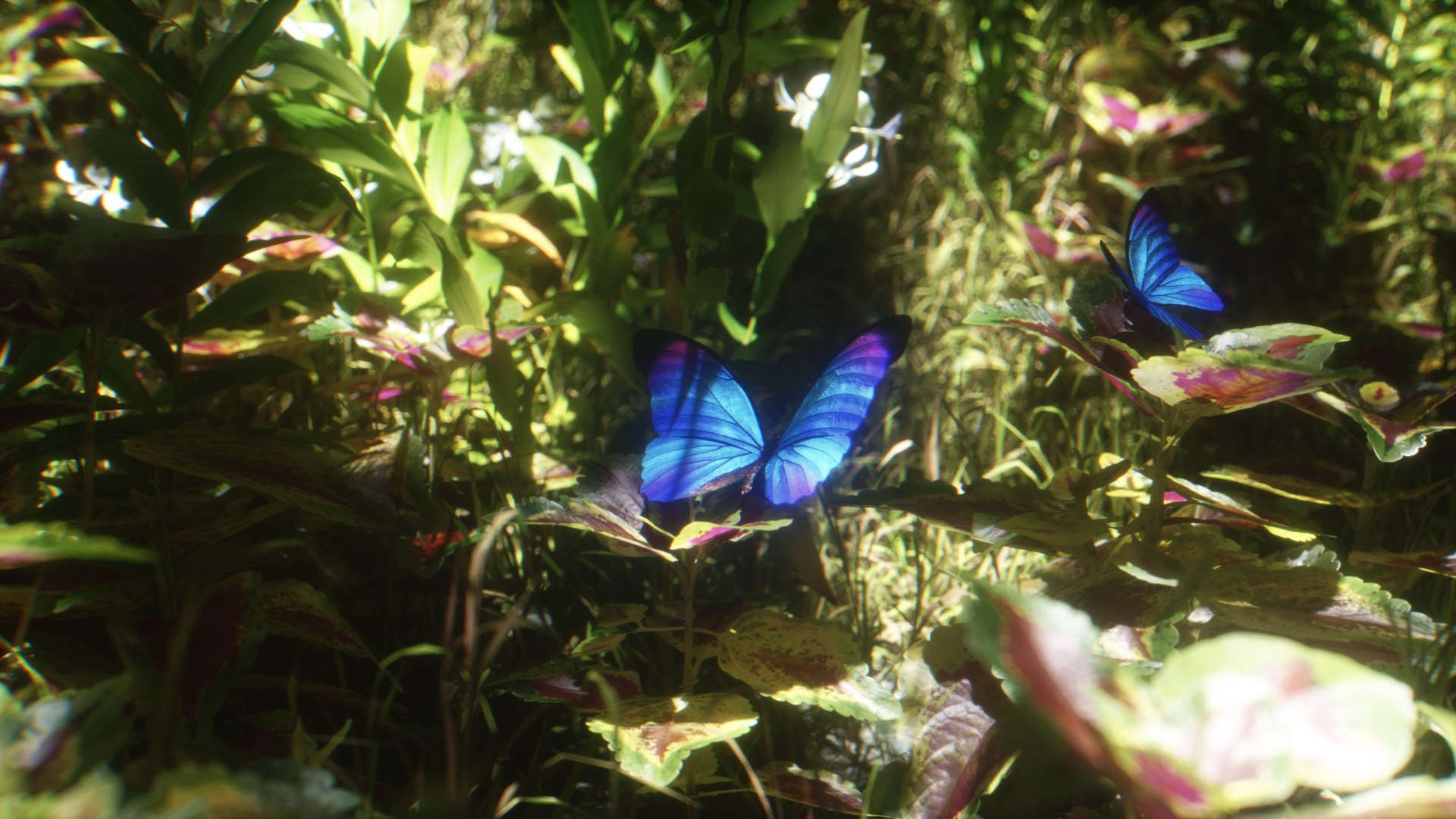 morpho butterfly blue 3D https://p.turbosquid.com/ts-thumb/u1/iULPaI/9c/18/jpg/1613777314/1920x1080/fit_q87/cb7063519e770c95124e99cc5c37c977a34439fe/18.jpg