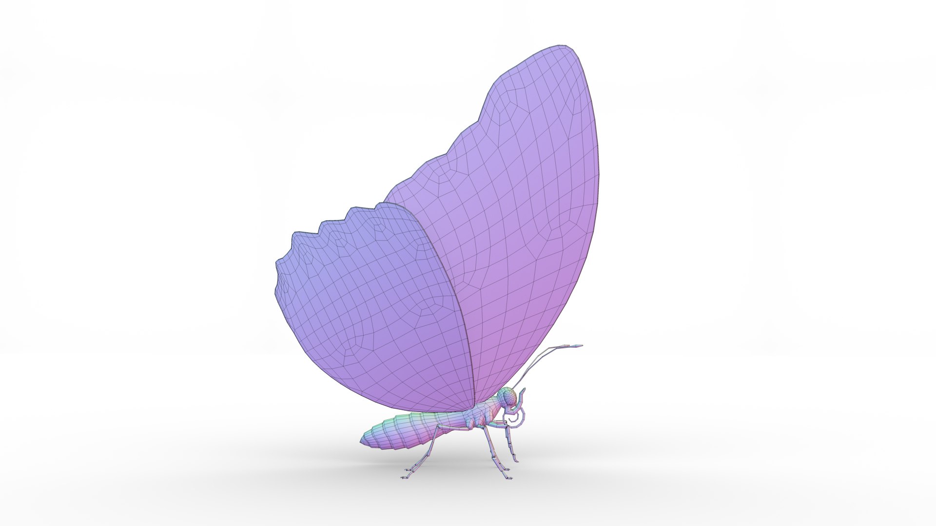 morpho butterfly blue 3D https://p.turbosquid.com/ts-thumb/u1/iULPaI/Dj/14/jpg/1613777191/1920x1080/fit_q87/fa71ad5a4346080d060859b1f408bdd38e3665c5/14.jpg