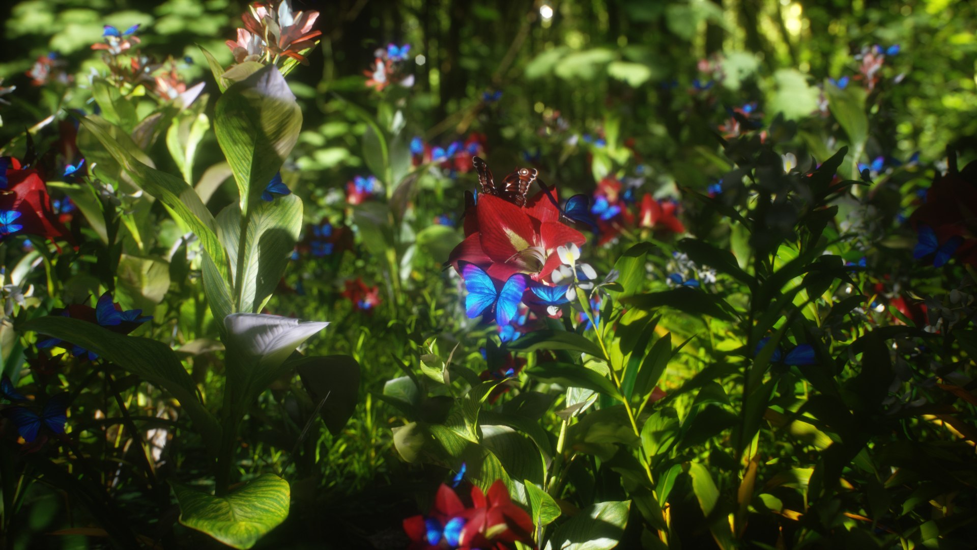 morpho butterfly blue 3D https://p.turbosquid.com/ts-thumb/u1/iULPaI/Eg/25/jpg/1613777315/1920x1080/fit_q87/63bbe96d3fdf46b5c510b192e0a3652fc9ac4ca4/25.jpg