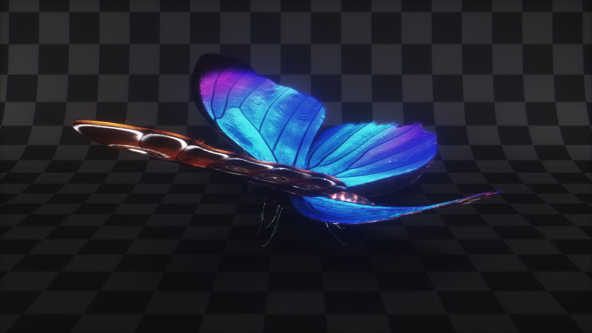 morpho butterfly blue 3D https://p.turbosquid.com/ts-thumb/u1/iULPaI/Gg/8/jpg/1613777191/1920x1080/fit_q87/06dc38f4d3bfb1962c49d4d750fc029dccc7c7aa/8.jpg