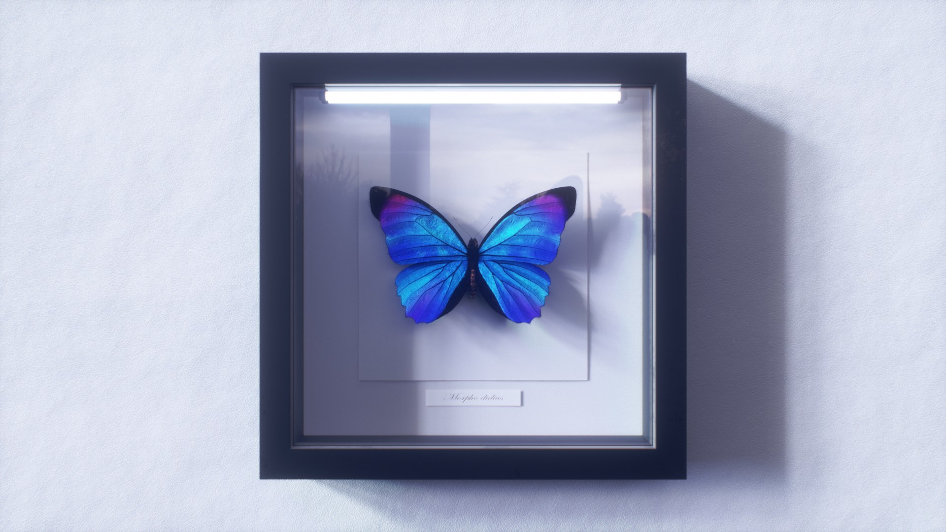 morpho butterfly blue 3D https://p.turbosquid.com/ts-thumb/u1/iULPaI/JY/30/jpg/1613777387/1920x1080/fit_q87/1ad60a42788bf349b4008cd9343158c69319946a/30.jpg