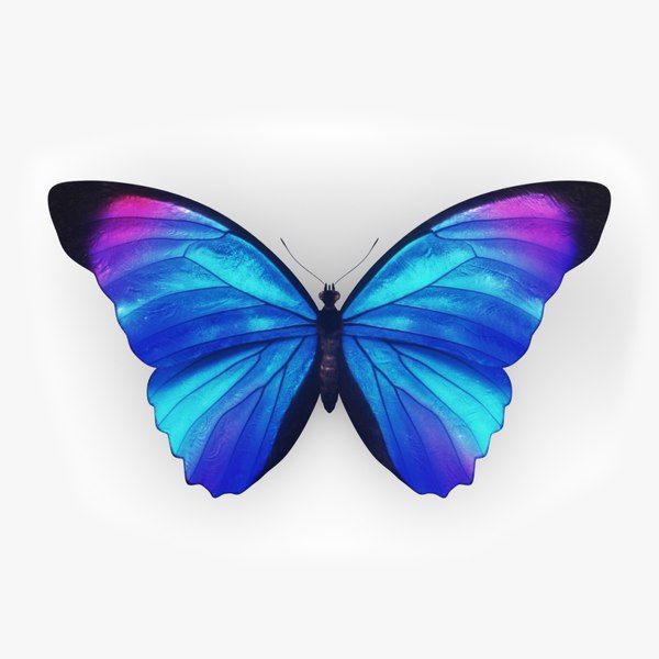 morpho butterfly blue 3D