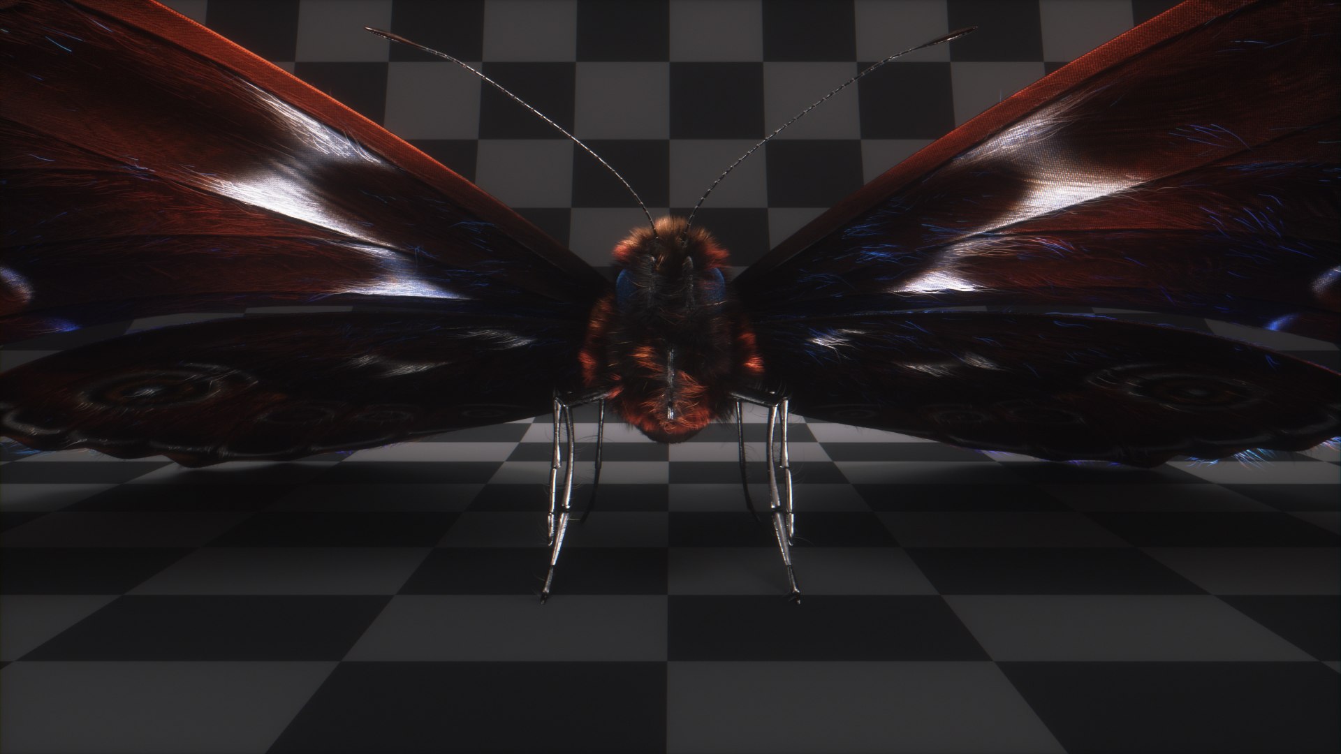 morpho butterfly blue 3D https://p.turbosquid.com/ts-thumb/u1/iULPaI/d8/15/jpg/1613777192/1920x1080/fit_q87/39e7e26a99b5519703949c63f3d5c90b73a08687/15.jpg