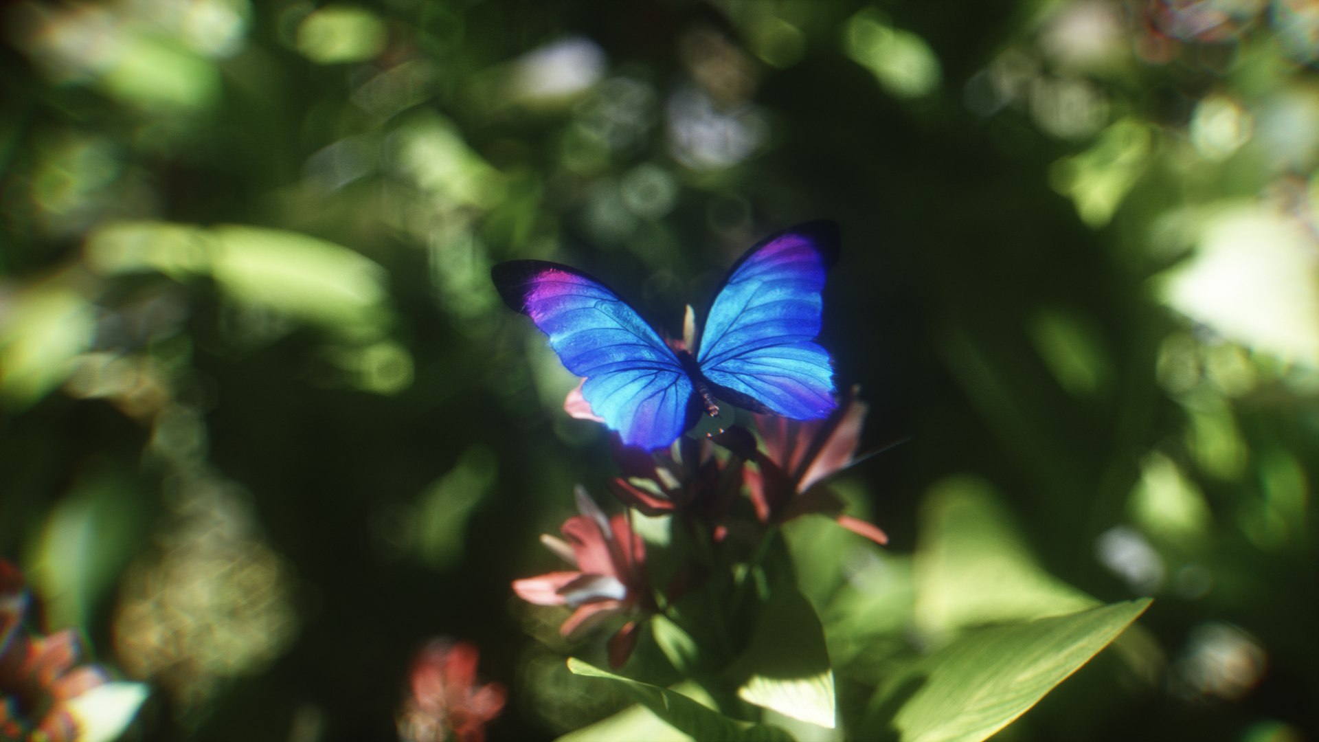morpho butterfly blue 3D https://p.turbosquid.com/ts-thumb/u1/iULPaI/gT/19/jpg/1613777313/1920x1080/fit_q87/321e5db71e154130633966aa8ae84245373ccfee/19.jpg