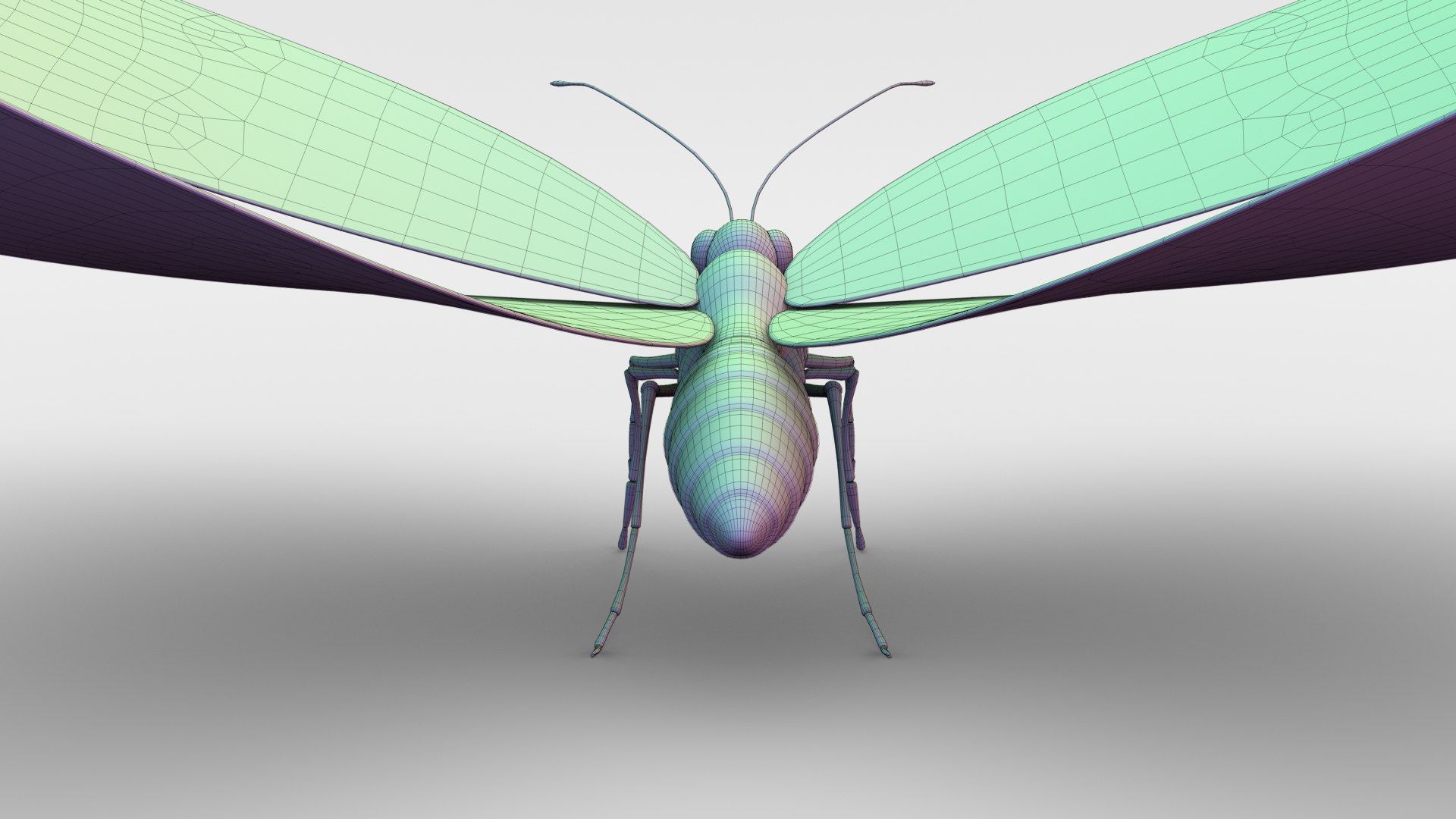 morpho butterfly blue 3D https://p.turbosquid.com/ts-thumb/u1/iULPaI/id/12/jpg/1613777191/1920x1080/fit_q87/c669c2f5569d964c0a8b542ccfd1a2ce031094f9/12.jpg