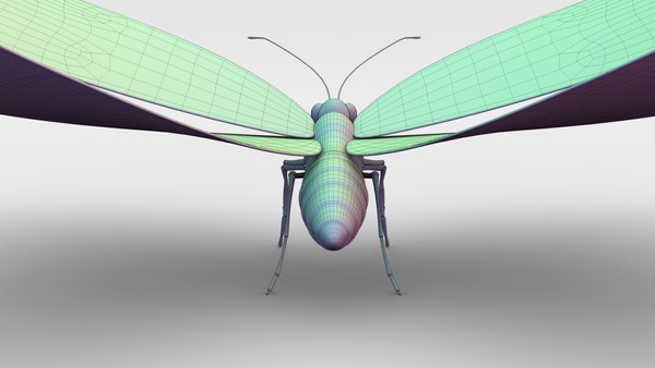 modelo 3d Mariposa Morpho Azul - TurboSquid 1694491