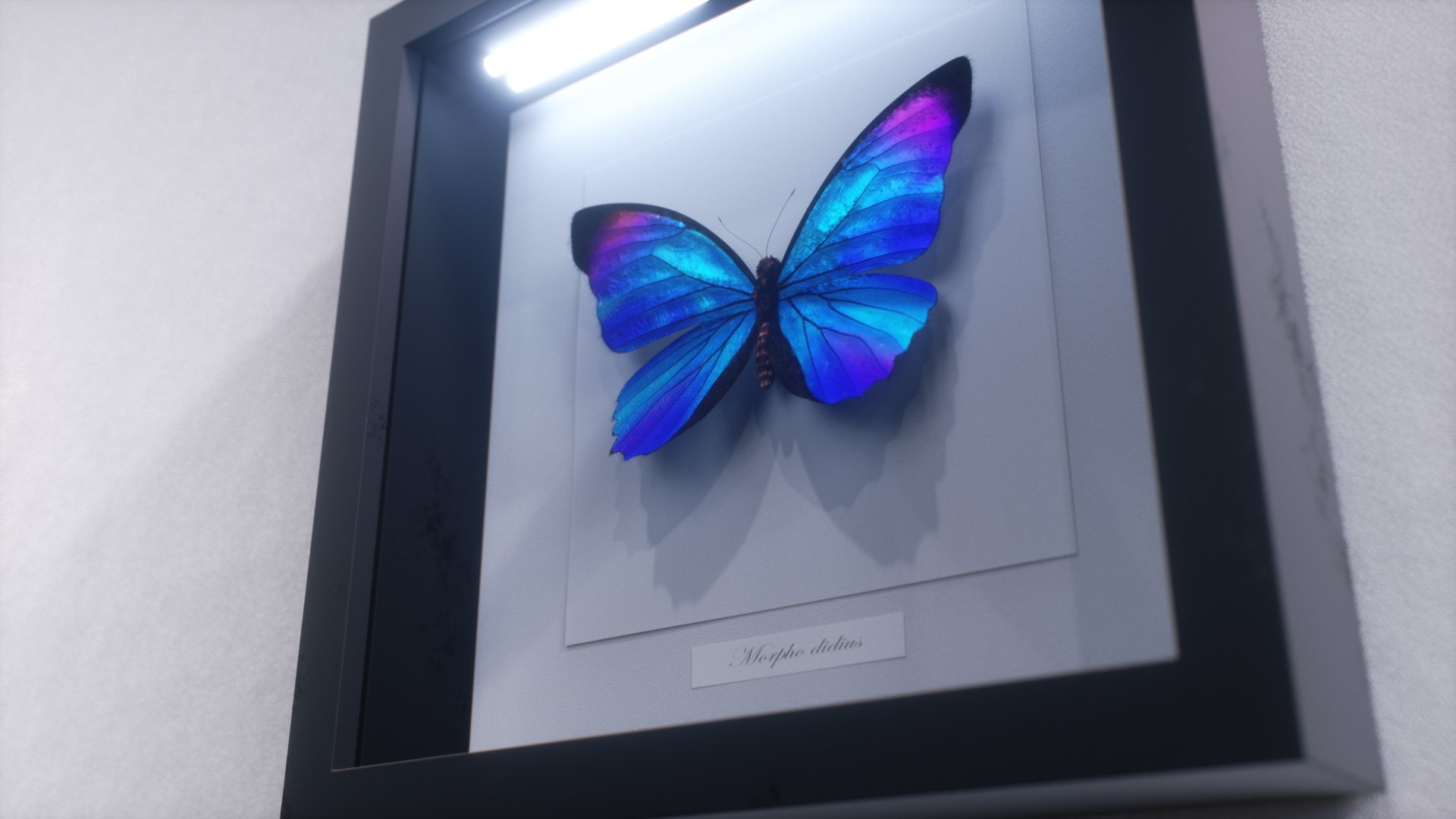 morpho butterfly blue 3D https://p.turbosquid.com/ts-thumb/u1/iULPaI/j7/31/jpg/1613777388/1920x1080/fit_q87/7b343b5455226f4346311d4effba3c4d0cd89330/31.jpg