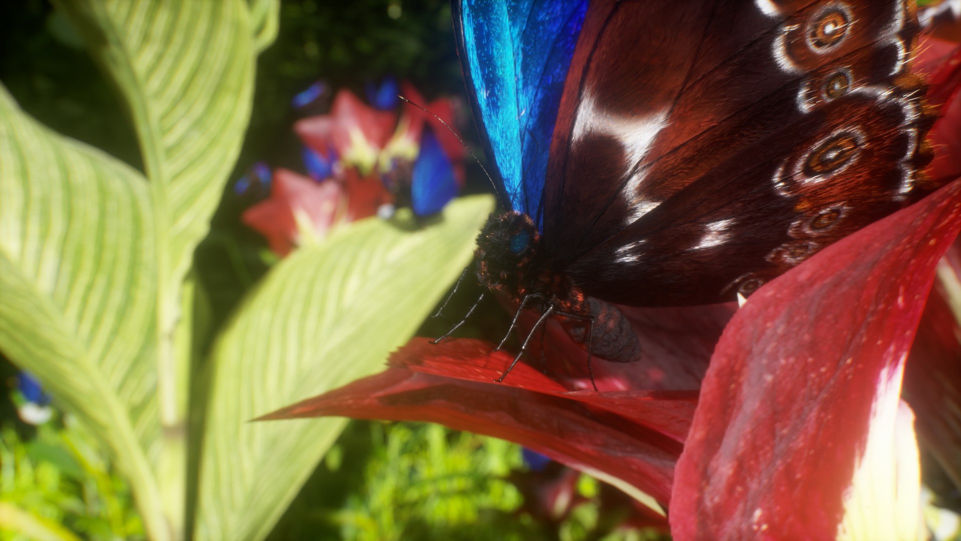 morpho butterfly blue 3D https://p.turbosquid.com/ts-thumb/u1/iULPaI/lk/7/jpg/1613777190/1920x1080/fit_q87/266b82601238c29a4e0cee4942544847ae111c58/7.jpg