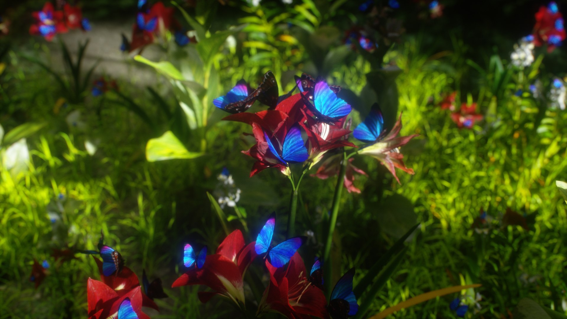 morpho butterfly blue 3D https://p.turbosquid.com/ts-thumb/u1/iULPaI/qr/27/jpg/1613777315/1920x1080/fit_q87/6055dc2acf71670f2923a6fe64291cffd698234e/27.jpg