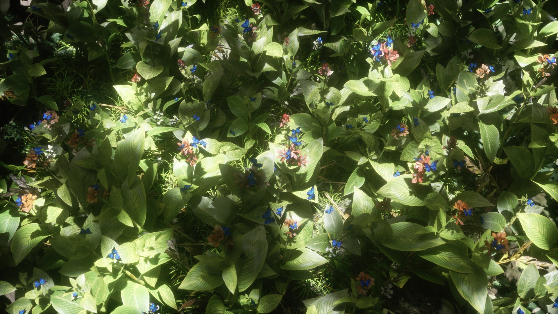 morpho butterfly blue 3D https://p.turbosquid.com/ts-thumb/u1/iULPaI/vU/29/jpg/1613777318/1920x1080/fit_q87/70d2376cd0faa227e05ebbf129bdfe881666a414/29.jpg