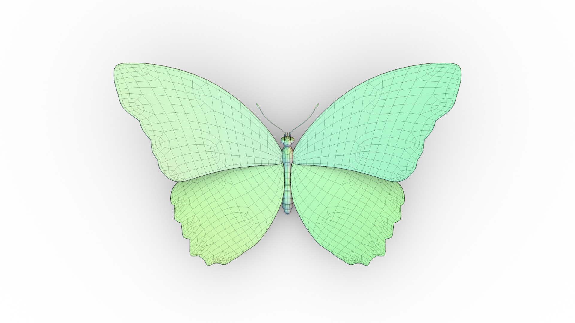 morpho butterfly blue 3D https://p.turbosquid.com/ts-thumb/u1/iULPaI/y5/9/jpg/1613777190/1920x1080/fit_q87/3de8cba06a4b1c7e740f35bc83e94d6939fc9a34/9.jpg