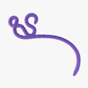 Ebola Virus