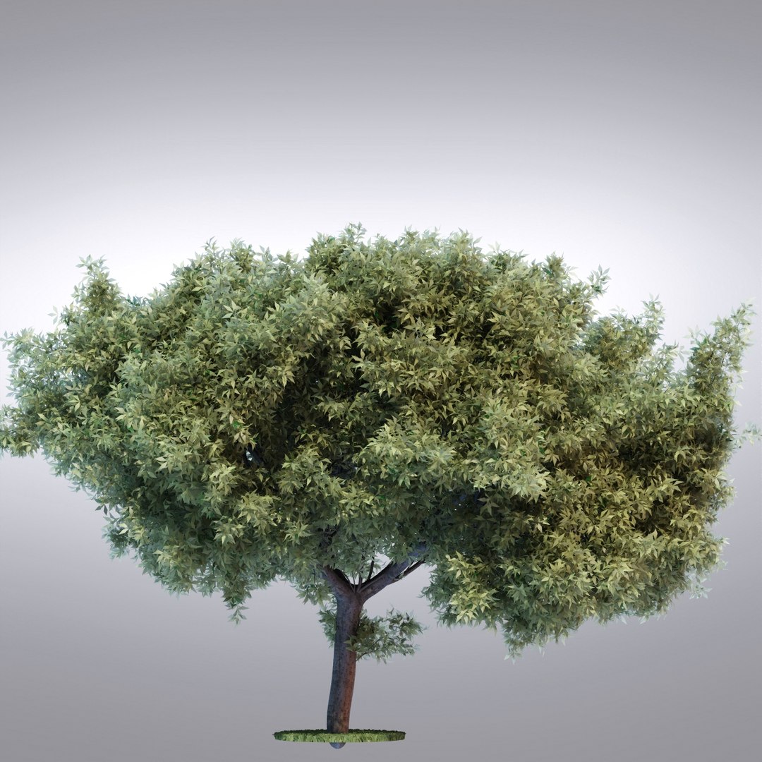 hi realistic series tree obj