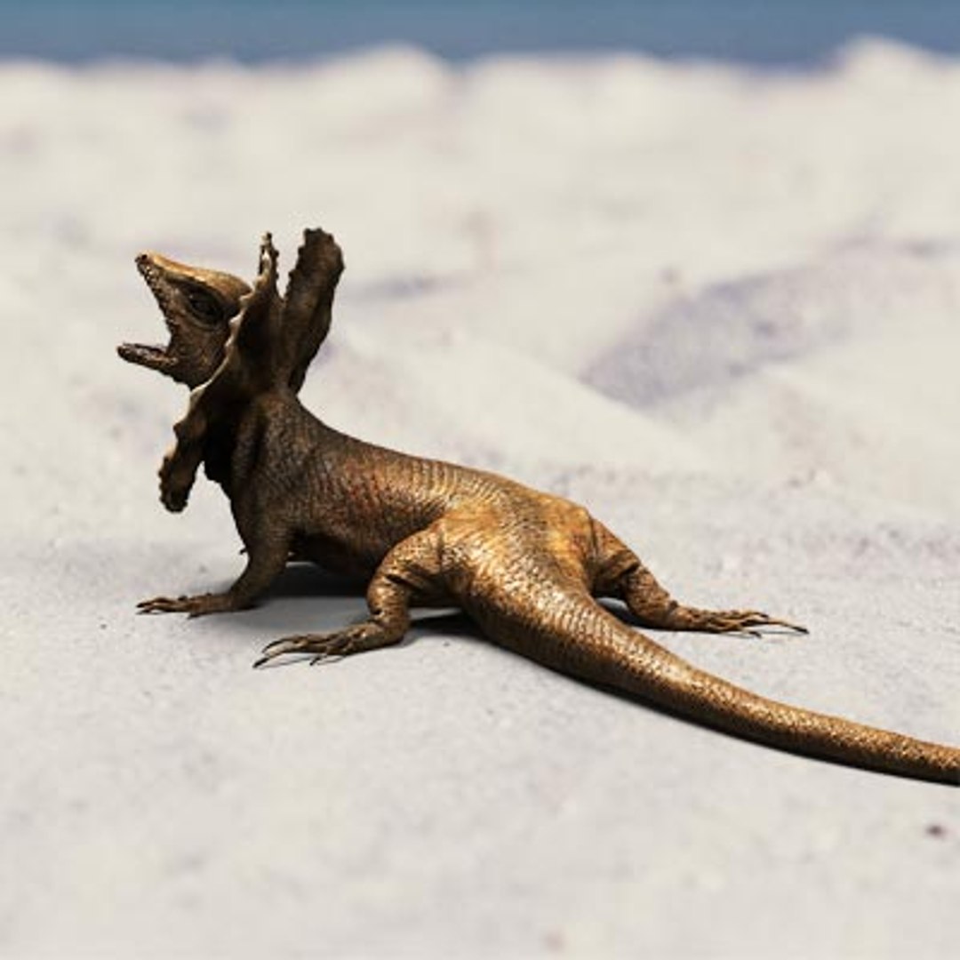 frilled lizard 3d model