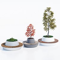 Green circular benches