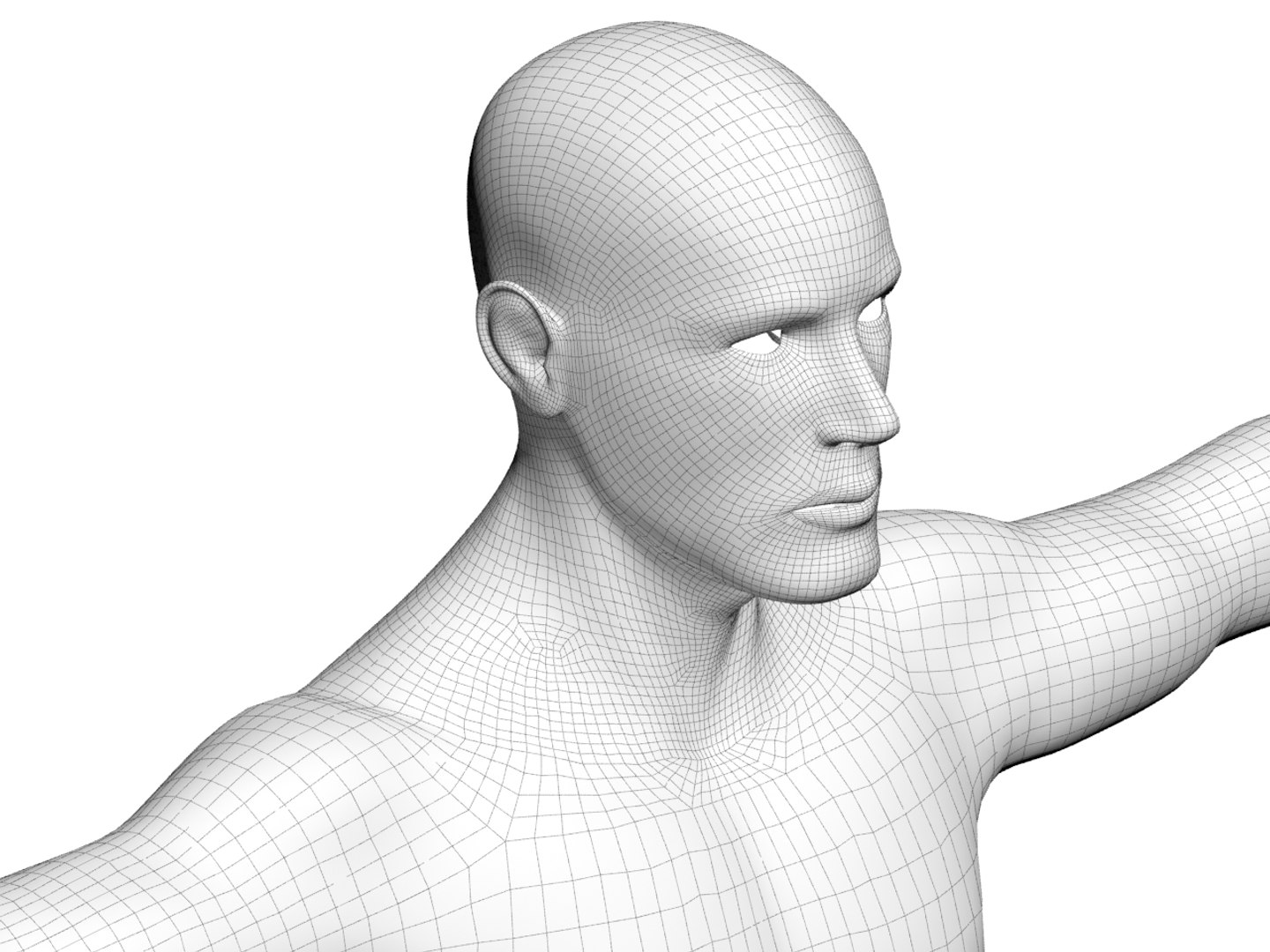 3d Model Body