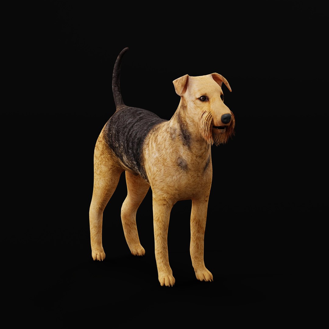 Airedale Terrier Dog 3D Model - TurboSquid 2289082
