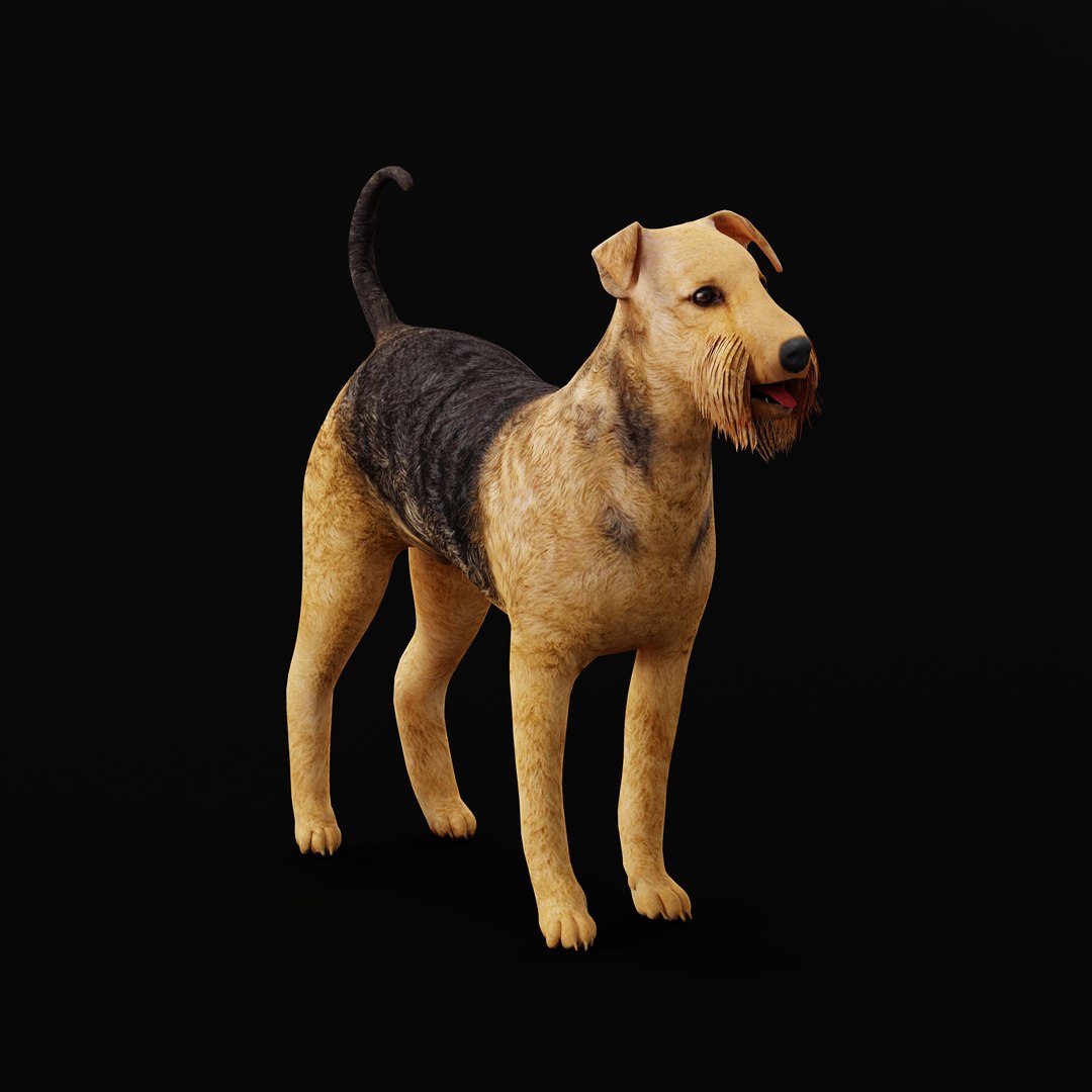 Airedale Terrier Dog 3D Model - TurboSquid 2289082