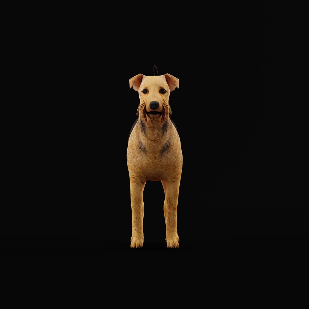 Airedale Terrier Dog 3D Model - TurboSquid 2289082
