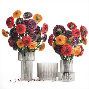 3D Set of bouquets of flowers chrysanthemum Dahlias vase 373 model