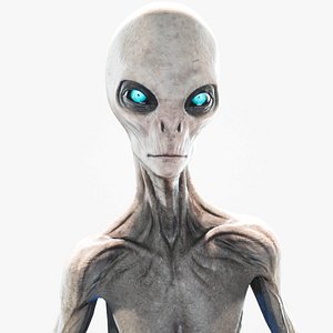 Alien - Grey - Unreal Engine Support