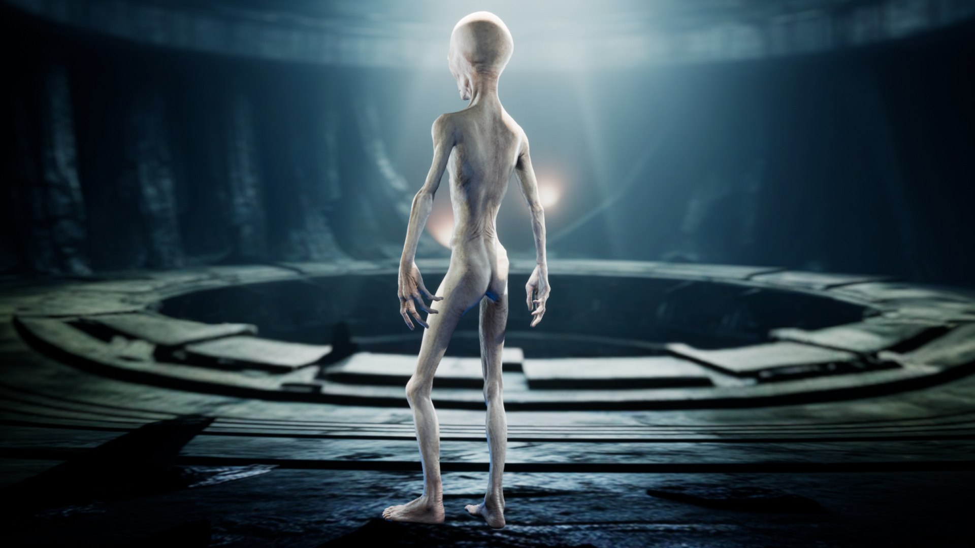 Alien - Grey - Unreal Engine Support 3D model https://p.turbosquid.com/ts-thumb/u2/Yqo5Rz/wt/screenshot00003/jpg/1695512110/1920x1080/fit_q87/fe5cf9cf2ebbbf49ef6867e745e29f9b10372d0b/screenshot00003.jpg