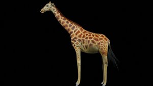 3D giraffe for game
