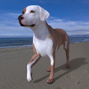 LAB-037 Dog Walking 3D model