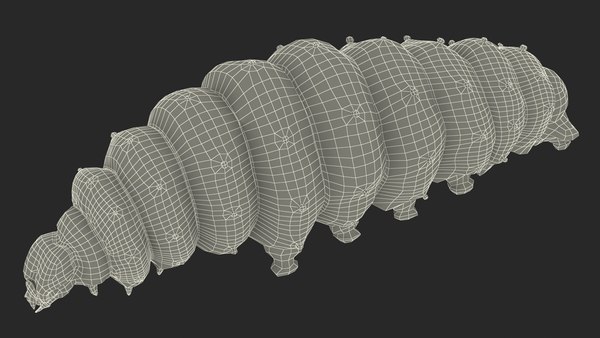 3D Silkworm Green Model - TurboSquid 1900353