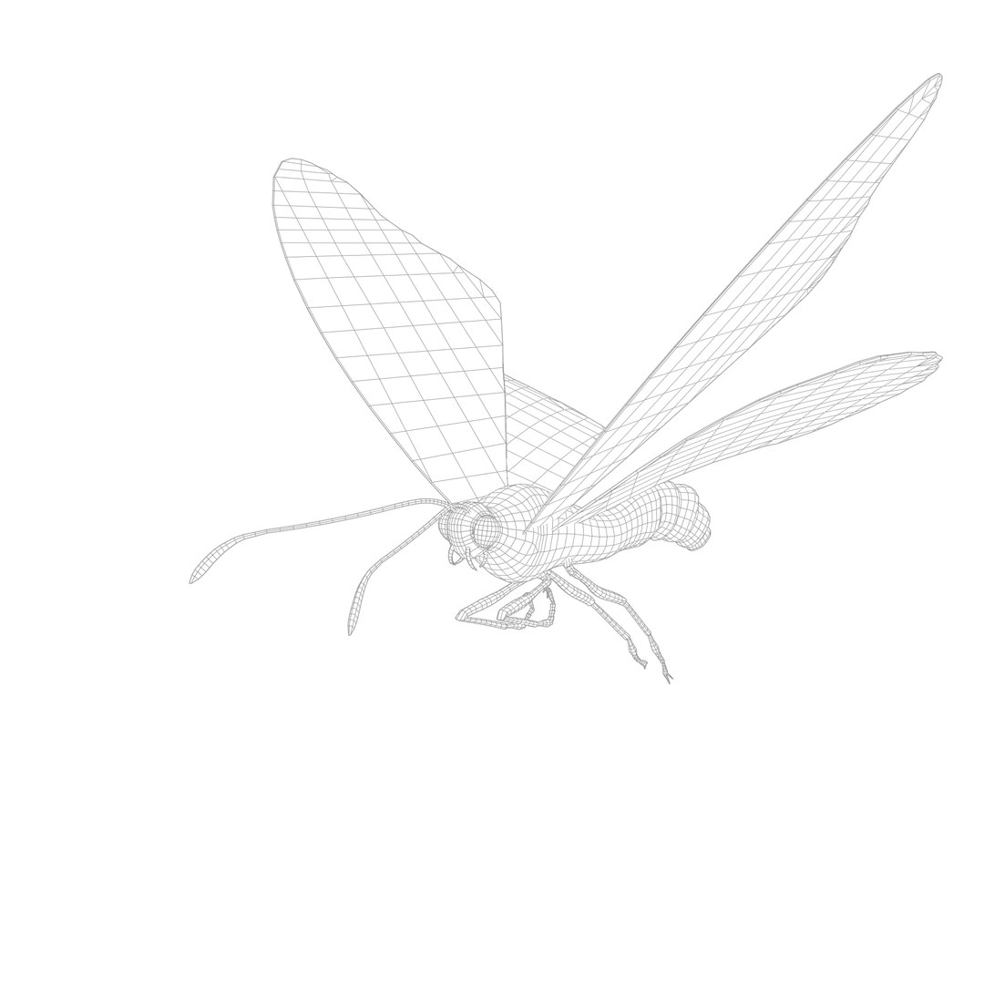 Butterfly Insect 3D Model Rigged Animated Model - TurboSquid 2337362