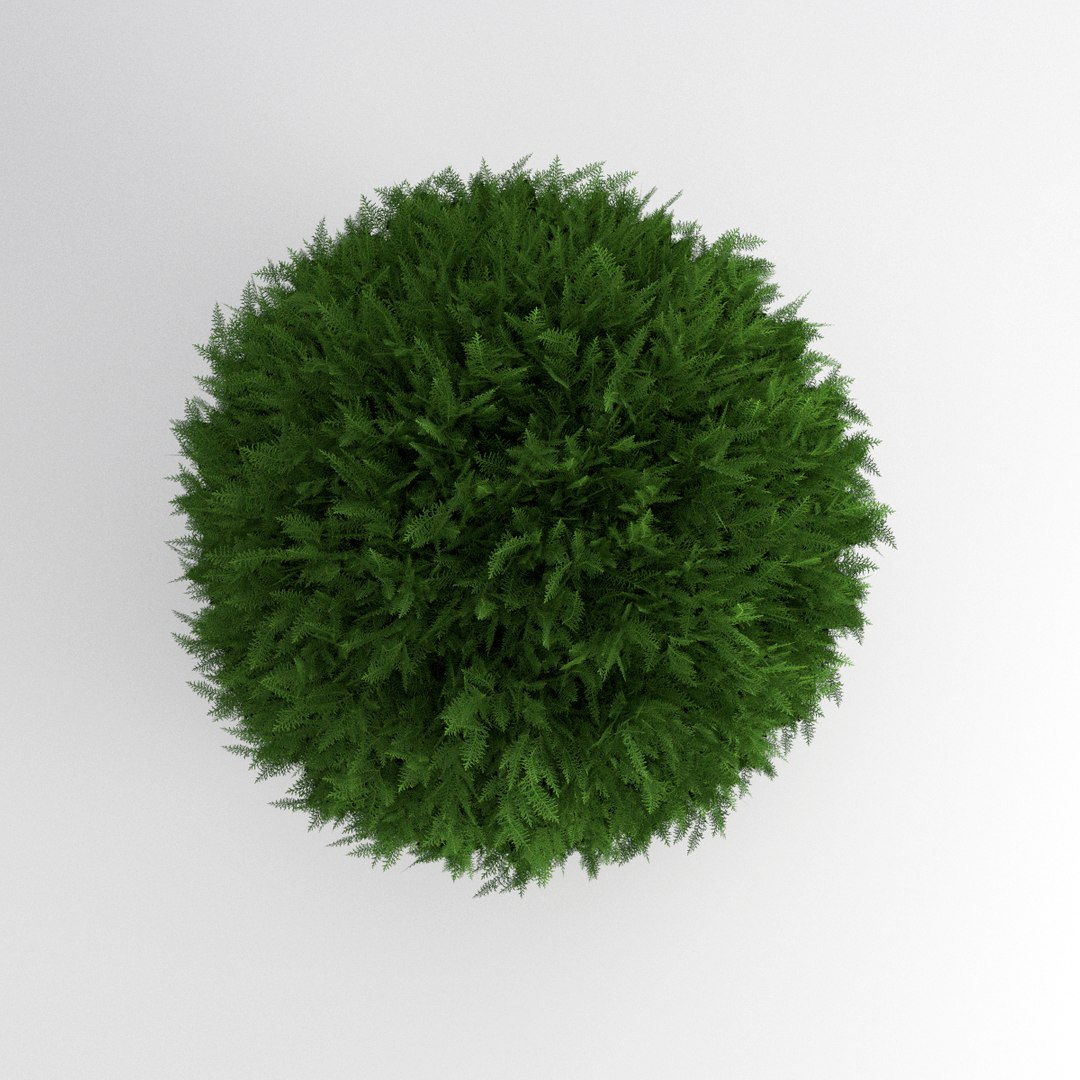 thuja occidentalis danica obj https://p.turbosquid.com/ts-thumb/u3/1pf0rZ/Z3gKfIOW/thujarender4/png/1453139087/1920x1080/fit_q87/f252b2819861e052e798cc589a934b500a489fce/thujarender4.jpg