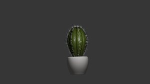 3D Cactus