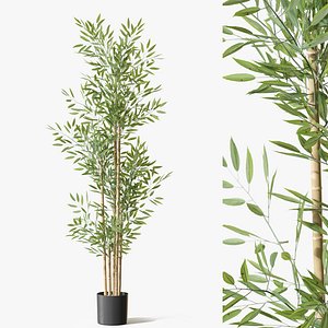 Plant 1294 3D