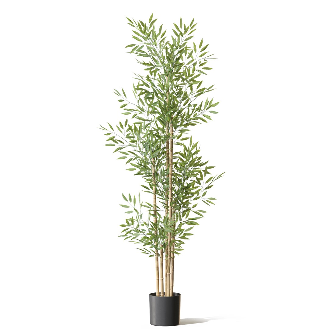 Plant 1294 3D https://p.turbosquid.com/ts-thumb/u3/79CGNo/i1/plant_1294_01/jpg/1759469831/1920x1080/fit_q87/eef01ab1451e06b6223fcf8d5ab716fa8a7003a7/plant_1294_01.jpg