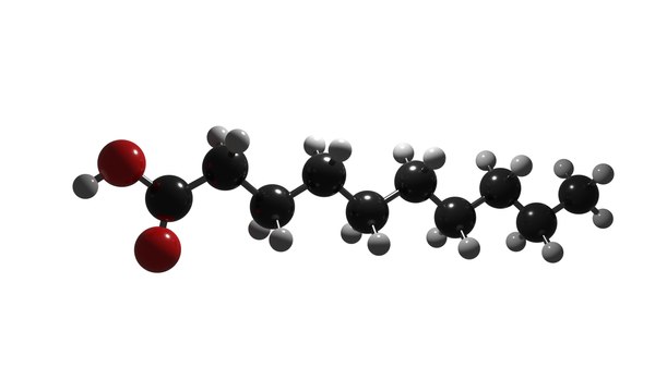 Decanoic acid 3D model