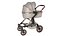 Poussette de bébé