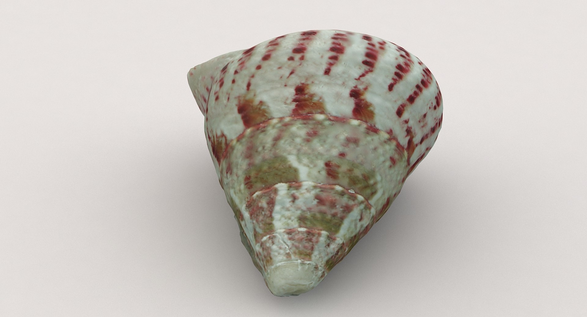 3D sea shell https://p.turbosquid.com/ts-thumb/u3/EhsqxV/Zumuv0mk/shell02_06/jpg/1552308886/1920x1080/fit_q87/ee967f8525e20c4b8d6107f19ed31f00eb54cb3a/shell02_06.jpg