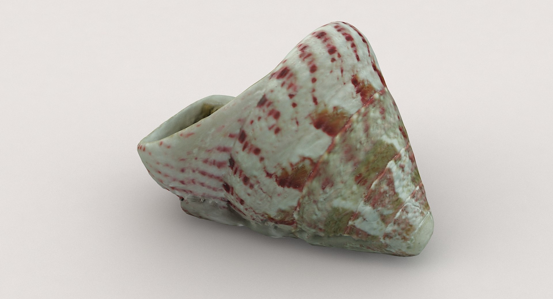3D sea shell https://p.turbosquid.com/ts-thumb/u3/EhsqxV/nlWcEz6y/shell02_08/jpg/1552308886/1920x1080/fit_q87/d6a344d6fa2eaa2a6c3c26da10f953370f6954e0/shell02_08.jpg