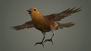 3D bird jay bee feather eagle cockatoo toucan sparrow