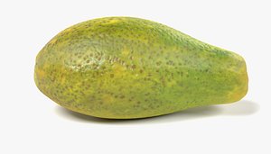 3D model papaya