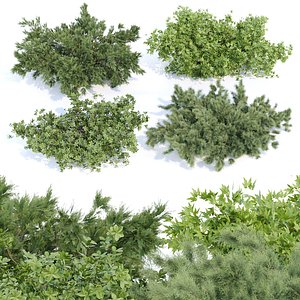 outdoor bushes collection vol 9 3D model